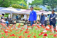 군수님 축제장 점검