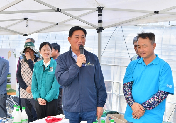  남면 안평쌀 수확현장 남면 안평쌀 수확현장