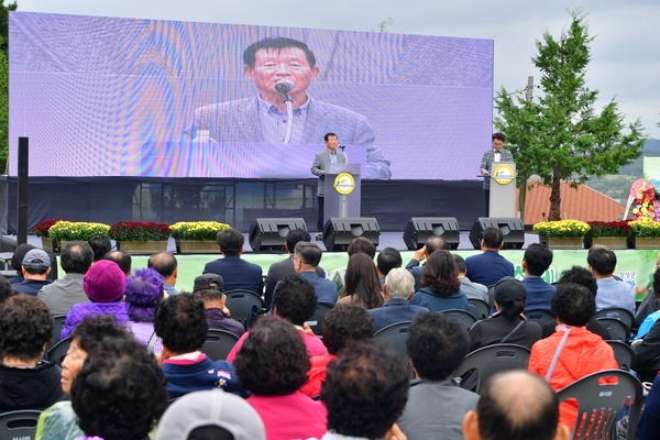 삼서면 푸른들 잔디축제