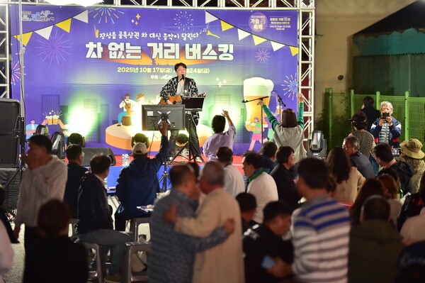 차 없는 거리 버스킹 격려