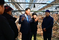 삼계면 사인머스켓 농원 현...