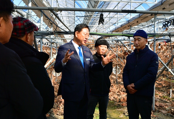삼계면 사인머스켓 농원 현장 방문