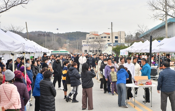 삼계면 달집태우기행사