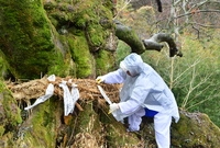서삼면 한실마을 당산제