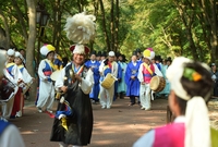 백양사 애기단풍축제