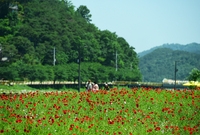 홍길동축제5