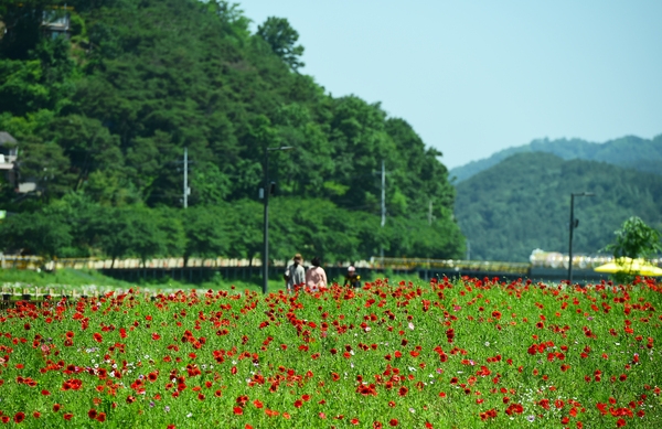 홍길동축제5