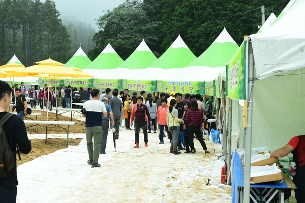 산소축제