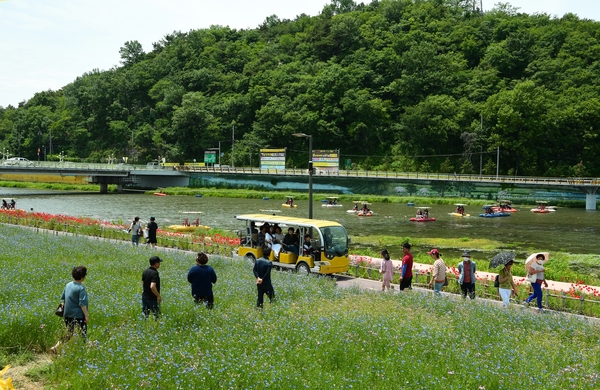 장성황룡강 홍길동 꽃길 축제 사진3