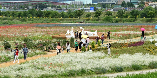 장성황룡강 홍길동 꽃길 축제 사진5