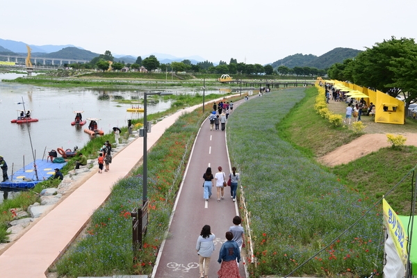 장성황룡강 홍길동 꽃길 축제 사진7