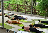 축령산 편백 산소축제