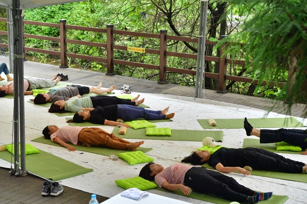 축령산 편백 산소축제