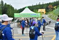 축령산 편백 산소축제