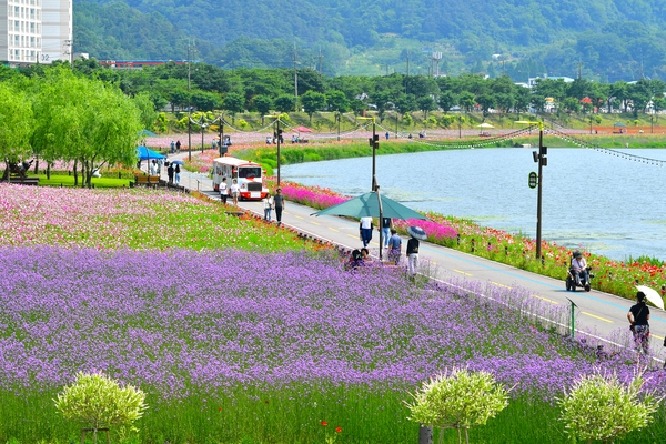 홍길동무꽃길축제 현장