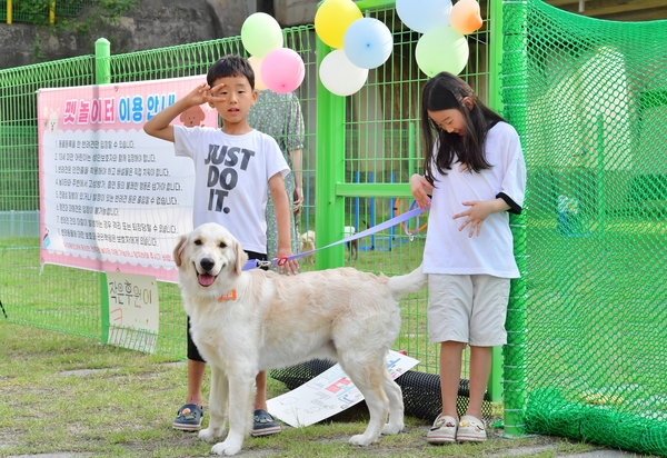 홍길동무꽃길축제 현장