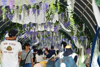 황룡강 음악힐링축제