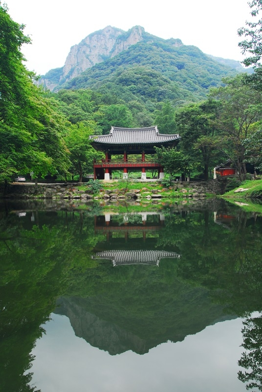 백암산신록