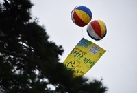 장성축령산 산소축제를 둘러...