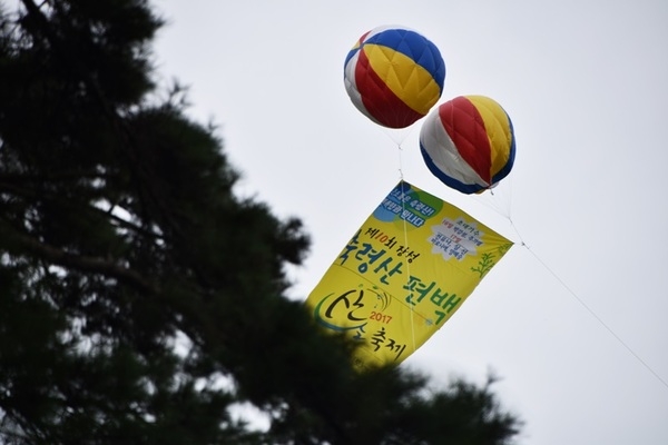 장성축령산 산소축제를 둘러보고