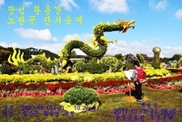 장성 황룡강 노란꽃 축제
