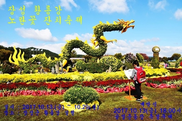 장성 황룡강 노란꽃 축제