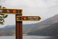 장성호 수변트레킹길을 걸으...
