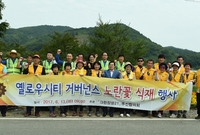 옐로우시티 거버넌스 노란꽃...