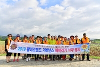 황미르랜드 해바라기 식재 ...