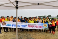 황미르랜드 해바라기 식재 ...