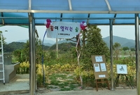 동화초 동화숲 준공행사