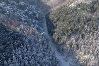 축령산 설경