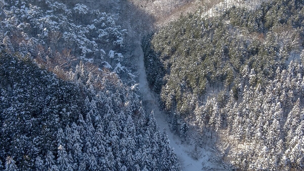 축령산 설경