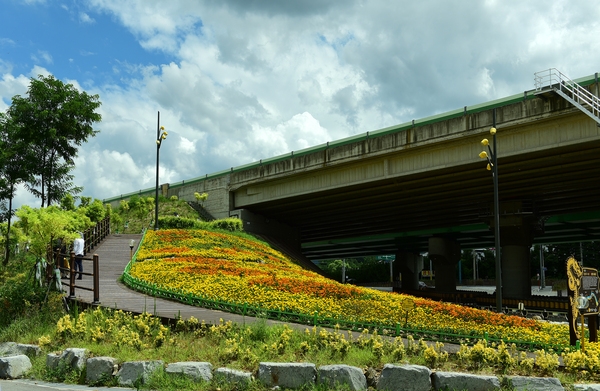 반구다리 꽃동산