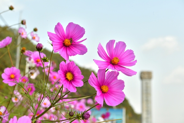 가을 수변길