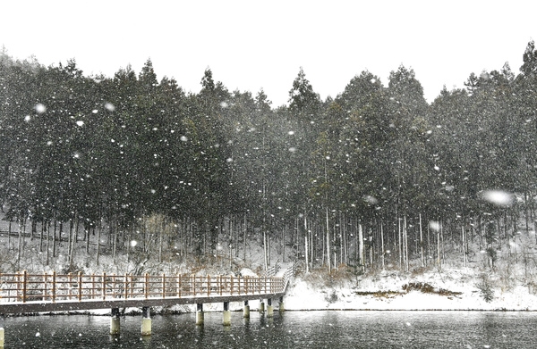 겨울축령산