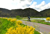 황룡강변 자전거도로
