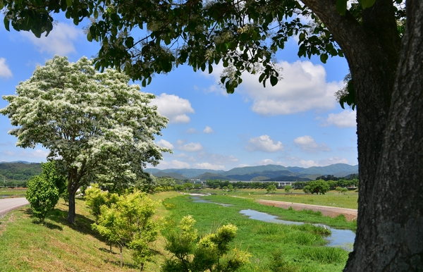 황룡강변 산책로
