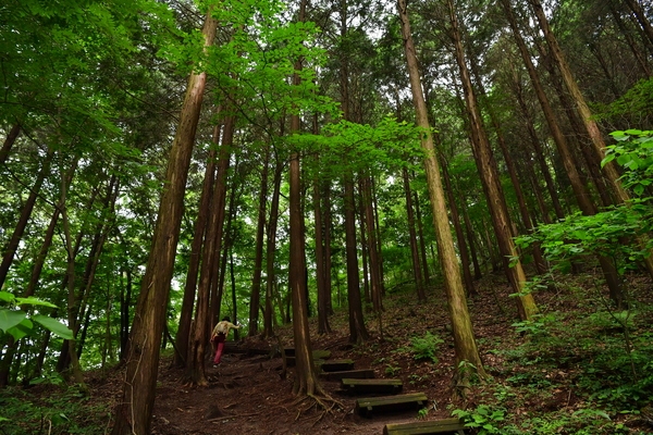 축령산