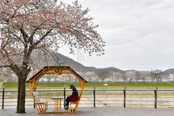 황룡강변