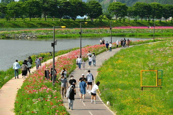 황룡강변 봄꽃5
