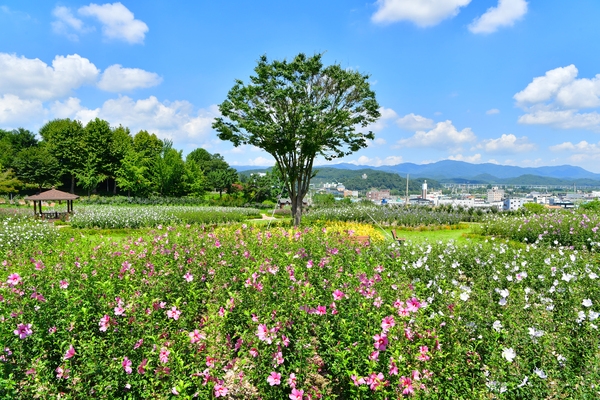 장성공원 무궁화 동산