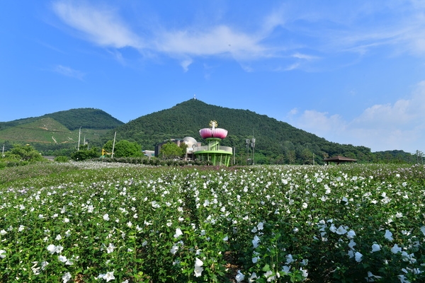 장성 무궁화동산