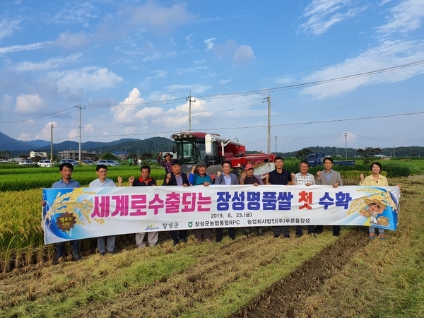 세계로수출되는 장성명품쌀 첫 수확
